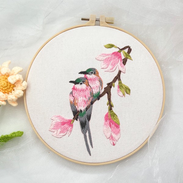 Broderisøm praksis kit, begynder broderikit, broderimønster begynder broderikit, håndbroderikit til voksne og børn(Sæt
