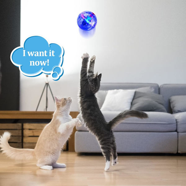 6 st LED-belysta kattbollar för spännande lek - Interaktiv leksak för katt och hund