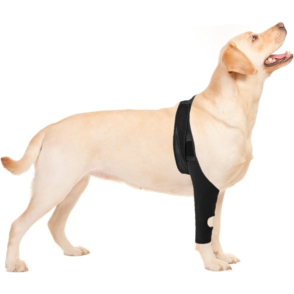 Bagbensbeskytter Hundebenskinne Beskytter sår og forstuvninger til