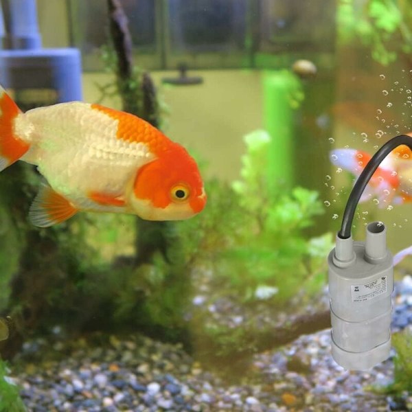 Dränkbar 12V, sänkbar vattenpump, för husbilar på Ond Etang, akvarium, Fontän Daquarium 600L/H-Pump