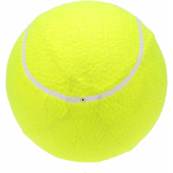 9.5 Overdimensjonert gigantisk tennisball for barn, voksne, kjæledyrmoro,