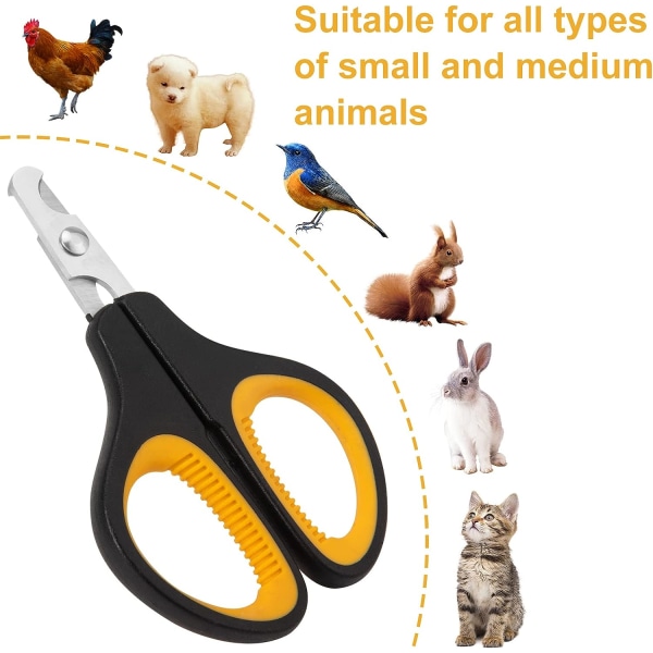 cat nail clippers, pet nail clippers