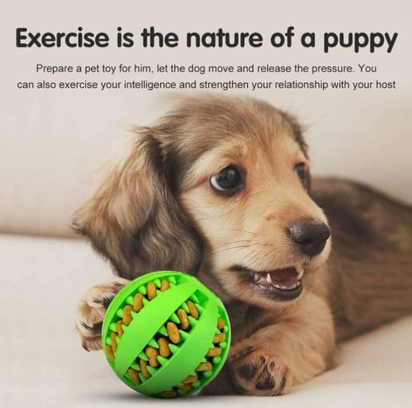 Boldbold til hunde, boldbold til hunde, smart boldbold til hunde, stort boldbold til hunde, tyggelegetøj til hunde