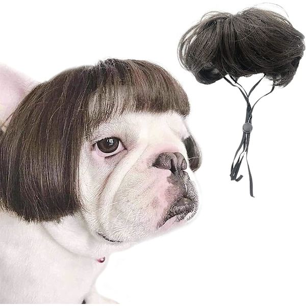 Hundekatt Cosplay Parykk, Kjæledyr Parykker, for Halloween, Jul, Fester, Festivaler, Hunde Parykker for Små Mellomstore og Store Hunder Cosplay (Lin Farge Smell)