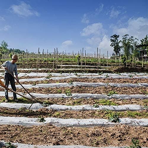 Frostbeskyttelse og isolasjon av frostvæske for planter, 2x10m