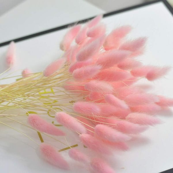 Naturlige tørrede blomster 60 stk. tørrede pampe pampe forkælede stængler kaninurt til bryllupsdekorationer buket blomsterarrangementer guirlande af nol indretning derhjemme