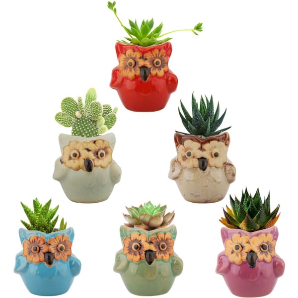 6 stycken suckulenta krukväxter mini uggla keramik blomkruka krukväxt bonsai kaktus present hem kontor fönsterbord dekoration