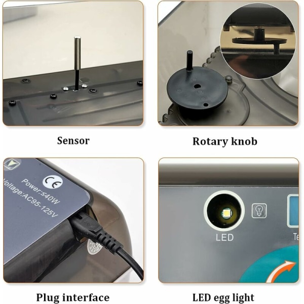 HHD 12 intelligent automatisk kycklingkläckare ny hushålls mini-typ automatisk äggvridning fjäderfäkläckare