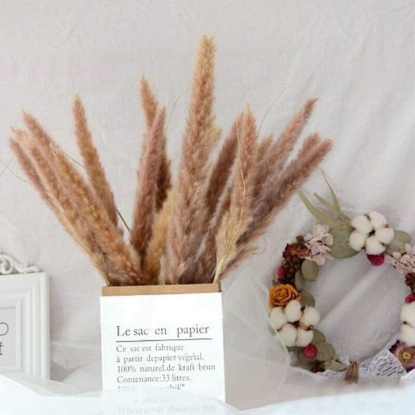 10 Pampagräs Naturtorkat Pampas Prydnad av torkade blommor (primärfärg)