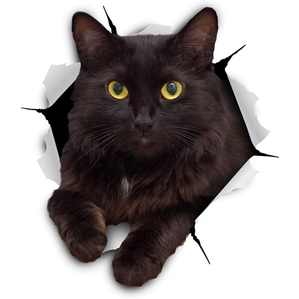 3D-kattklistermärken - 2-pack - Svarta kattväggdekaler - Kattväggklistermärken för sovrum - Kyl - Toalett - Bil - Butiksförpackade