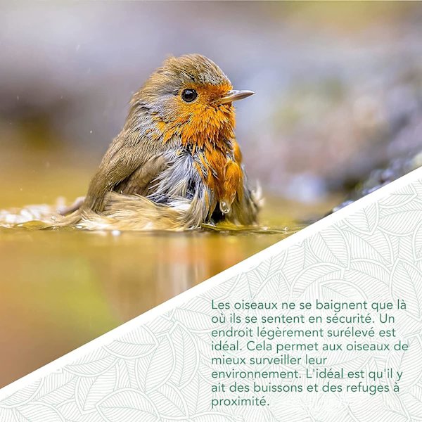 Solsikke Vildfuglefoder I Fuglefoder med Stativ, Udendørs Fuglefoder med Foder.
