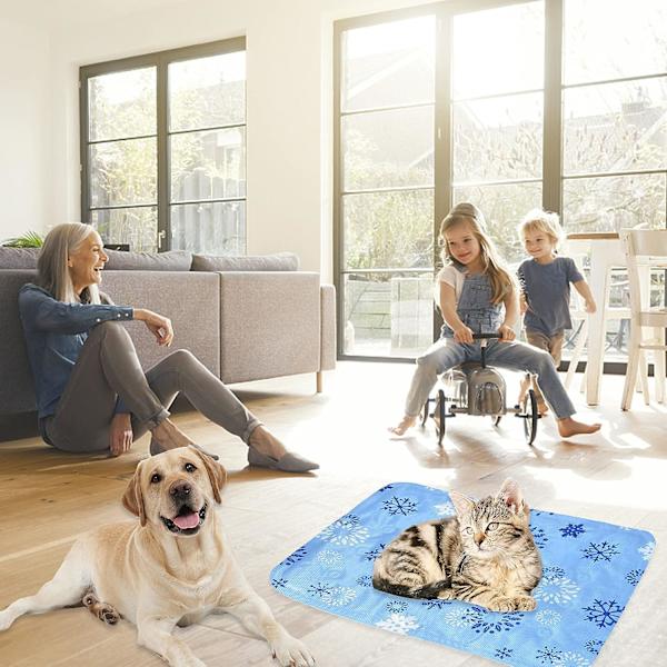 Blå Hundekøler, 30*40Cm Kølemåtte Hundekøler Kæledyrskøler til Store og Små Hunde (1stk)