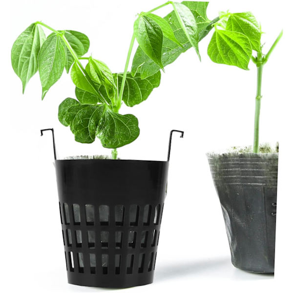 10 stk. Krogplante Kurv Hydroponisk Planter Gelænder Plantevækst Kurv Pp Spand Kurv Sort Selvudsprøjtning