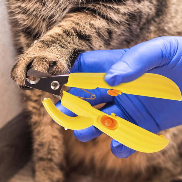 1 Pakke Pet Paw Trimmer - Med LED-lys