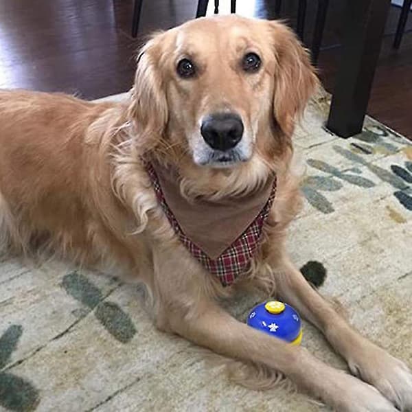 Husdjursklocka, Metallklocka Hund Med Halksäker Gummidörrklocka 2st-blå