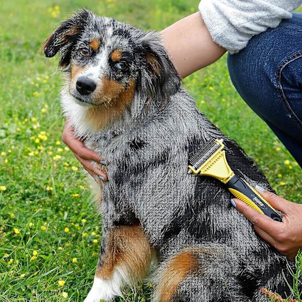 Børste til hunde og katte til at lysne underpelsen, egnet til mellem- og langhårede dyr