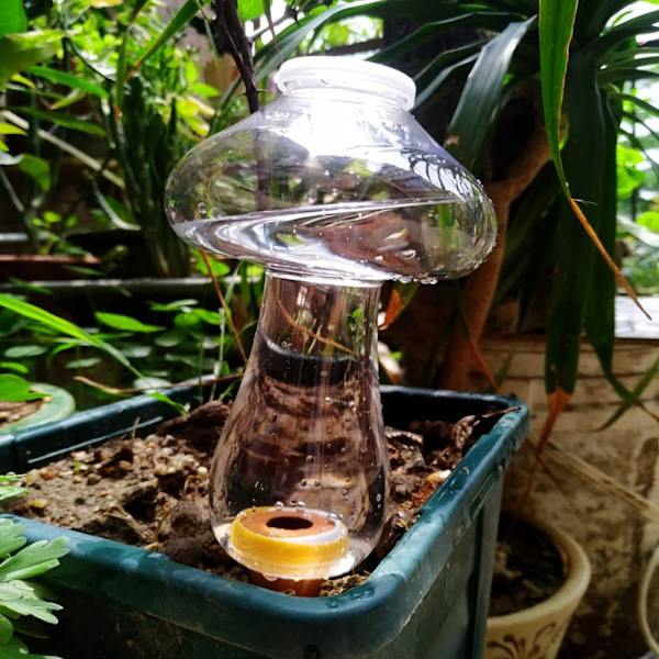 2 stk. kegleformet vandingsflaske 500 ml, indendørs plante lerkugle, automatiske vandingssystemer til plantepotte, vanddispenser planter vanding ferie