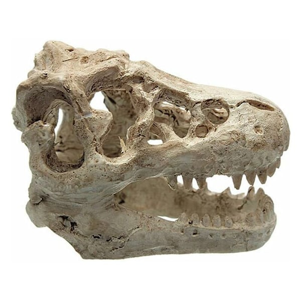 Dekorationsakvarium akvariedekoration harpiks simulation dinosaur hoved deco akvarium til fisk firben krybdyr skjul hule dekoration til akvarium