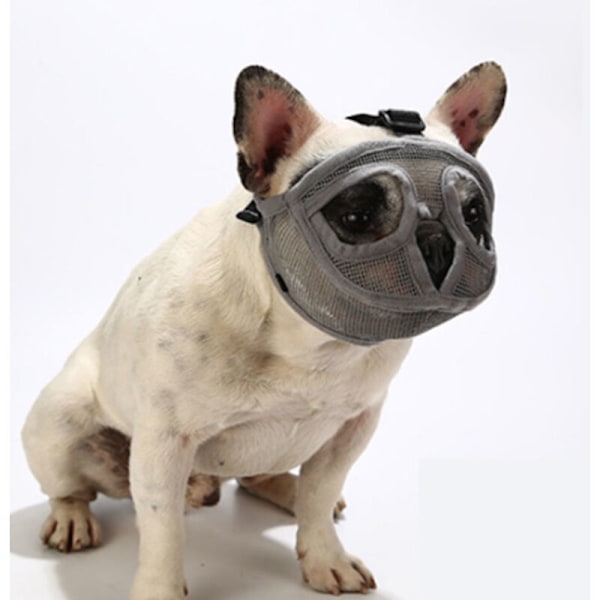 Hundekurv med kort snute, bulldog, hindrer hunden i å bite, bjeffe, tygge, justerbar, grå, m
