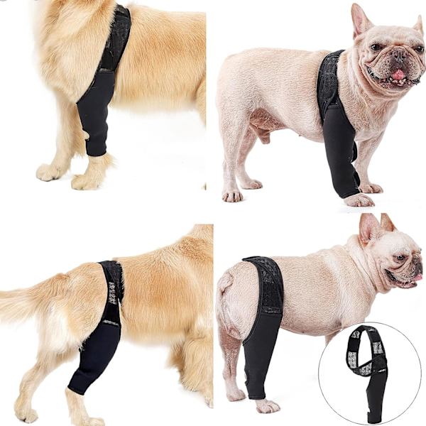 Knæstøtte til Hunde - Hundestrømper til Ben, Forreste og Bageste, Albuebeskytter, Genopretning af Gigt eller Osteoporose, Sort (S)