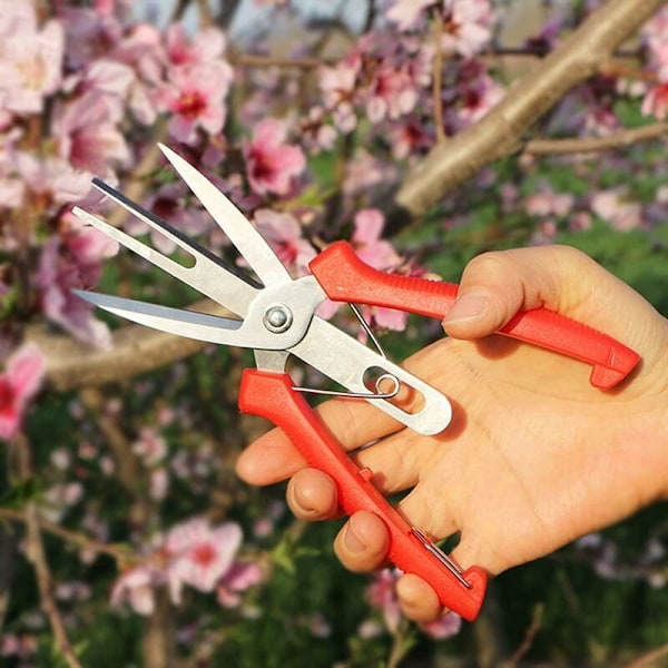 Saks for å tynne ut frukt og blomster med dobbel port, hagebeskjæringssaks med komfortabelt håndtak, perfekt for å kutte planter