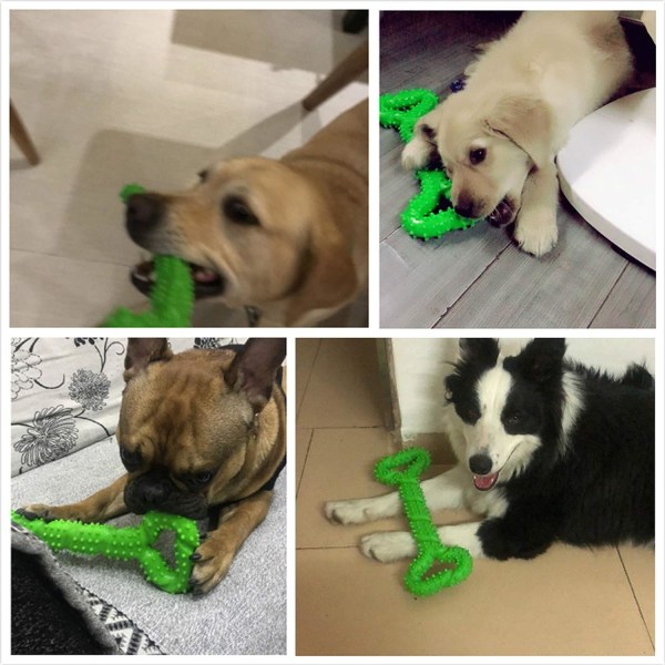 Vihreä – korroosionkestävät kumiset koiran purulelut 13 tuumaa Bone S
