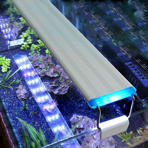 LED Akvarielys 58cm/22.83in Akvarielys 5.12in Udtrækkelige Beslag Hvid Blå LED til Ferskvands Planter Tanke, Model: Hvid EU Stik XXL