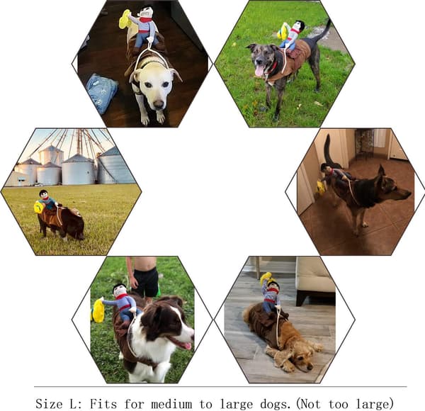 (L) Hundkläder för hundar Husdjur Ridkläder Cowboy-stil