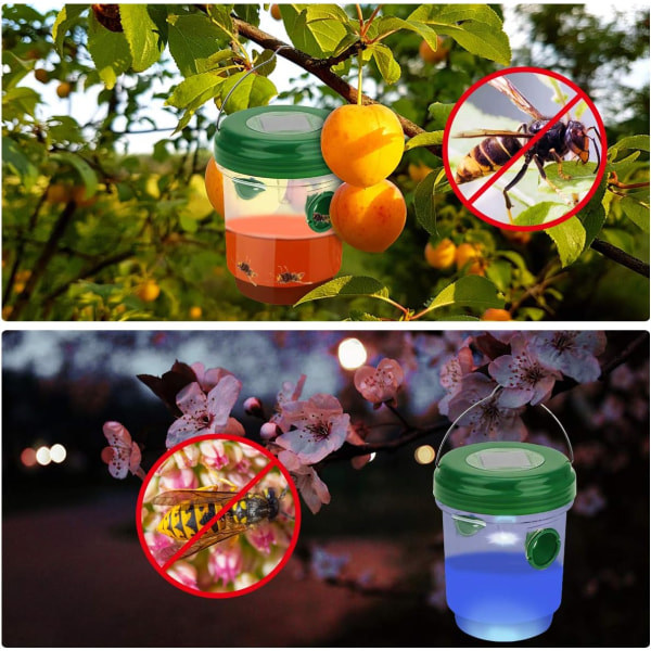 2x plast insektsfeller - hengende vepsefelle - livstidsfelle for veps, fluer og geithams - effektiv beskyttelse mot veps (02 stykker - transpare