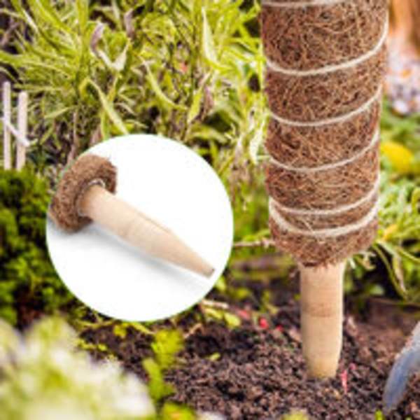 2-pack expanderbara klätterväxtstöd kokosmosspinne