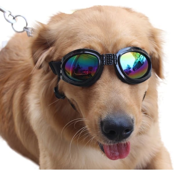 Hundebriller Øjenbeskyttelse Vandtætte kæledyrssolbriller til hunde Ove