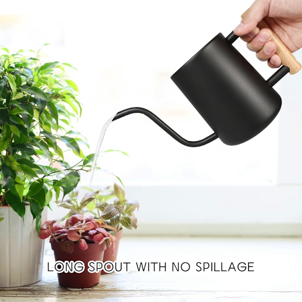 Vandkande - 35oz/1000ml Metal Rustfrit Stål Vandkande med Lang Tud til Indendørs Planter Bonsai Udendørs Have Blomsterdekoration (Sort)