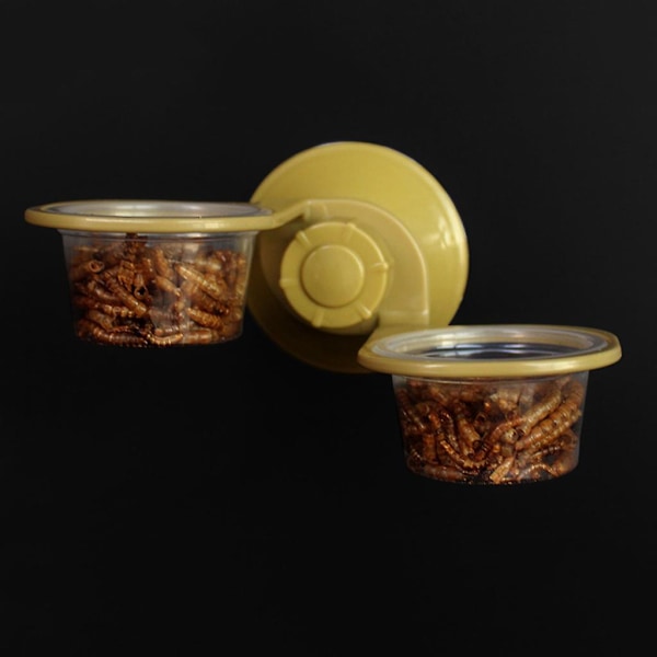 Sugekop Reptile Vand Mad Feeder Vægmonteret Fodringsskål Spider Opdræt Boks Tank Skål Pot（dobbelt skål）