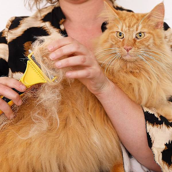 Børste til hunde og katte til at lysne underpelsen, egnet til mellem- og langhårede dyr