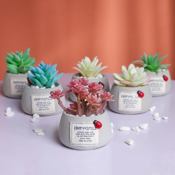 Mini Succulent Micro Landscape Simulation Potted Plant (Green Bergamot)