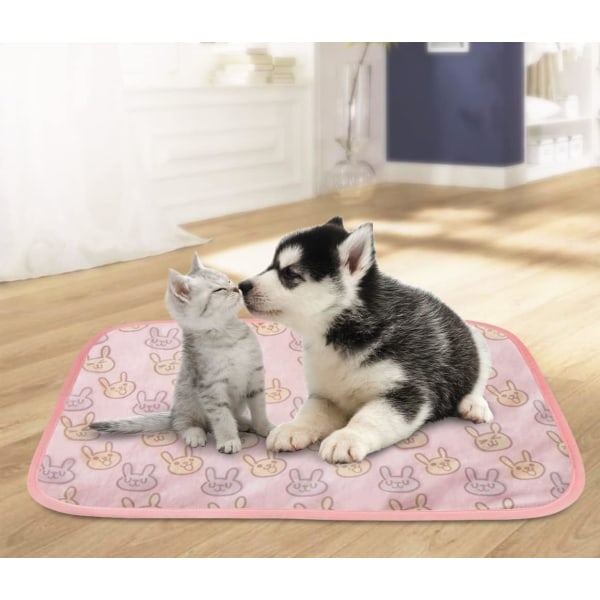Kjølematte for kjæledyr (S 40CM*50CM) Selskap, Hunde- og kattepute Kald seng Teppe Is Silkematte Varmesprednings pute