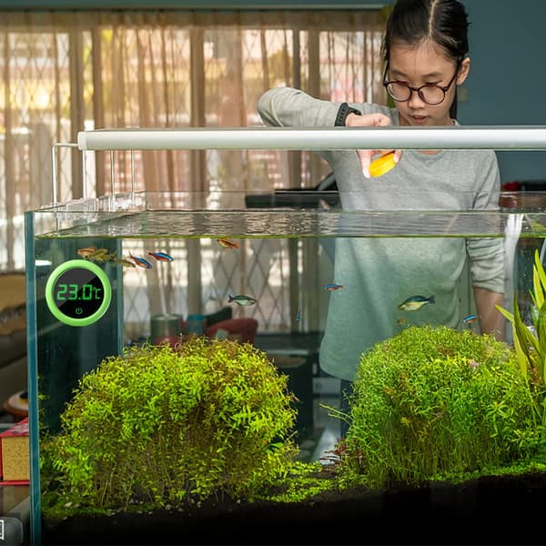 Digitalt akvarie termometer (grønn), LED-display termometer Mini fisketank Nøyaktig temperatursensor, energibesparende trådløs termometer