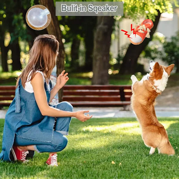Hundleksak, hållbar hundsko leksak hund interaktiva leksaker hund pip leksak skor leksak för valp, maskintvättbar (orange)