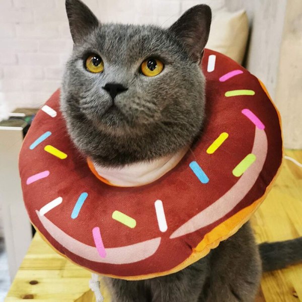 Mjuk återhämtningskrage för katter Chatt skyddskrage Katt Skyddande skyddskrage Justerbar för antikroppar för husdjur hundar hundar kattungar, m