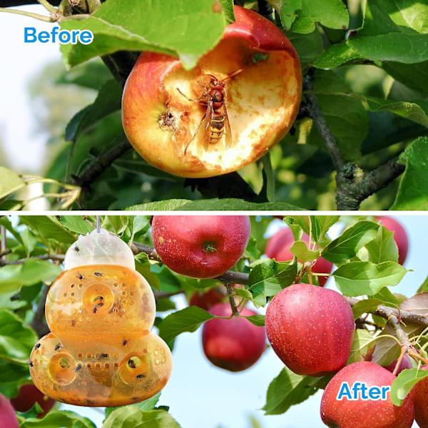 Getingfälla / Hängande getingfälla (2-pack) Orange Piège - Naturlig och ekologisk getinglösning