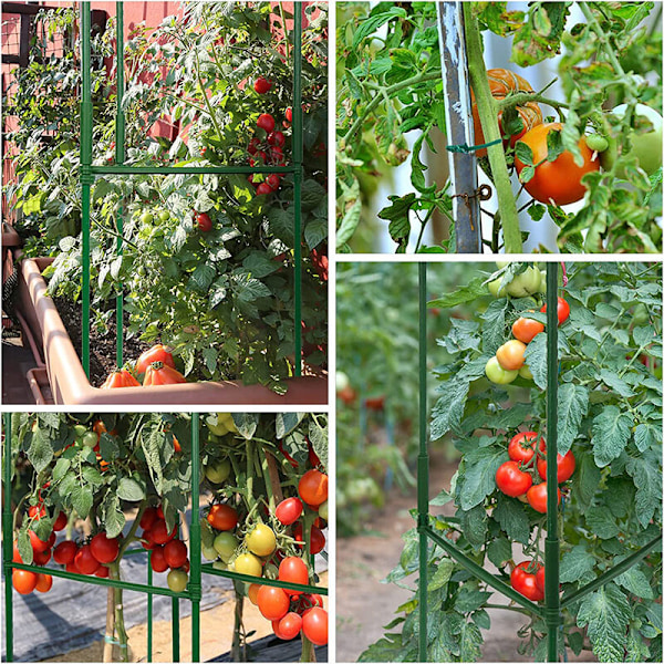 Set med 3 stödburar för trädgårdsväxter, tomatburar, växtbur, grönsakspaljé, tomatstöd, klätterväxtstöd