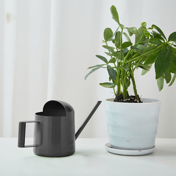 Lille vandkande 300 ml, vandtæt indendørs plante rustfrit stål med lang tud og håndtag, mini havevanding til hus, altaner, kontorer, bo