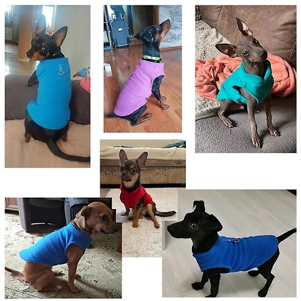 Varm Fleece Hundkläder Husdjur Hundjacka Väst Med D-ring För Liten Hund Kattkläder Fransk Bulldogg Kostymer Chihuahua Rock(M)