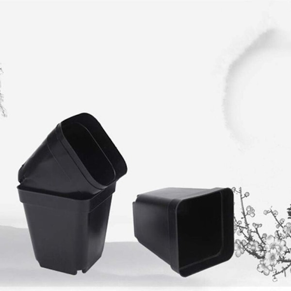 Set med 50 svarta såhinkar - fyrkantiga plastplanteringskärl - små planteringskärl för inomhus- och utomhusbruk (svart/6,5 x 5 x 6,5 cm)