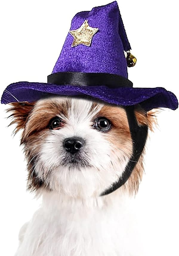 Kjæledyr Jul Halloween Kostyme Hodeplagg Katt Trollmann Hodeplagg Valp Heks Hodeplagg Kostyme Trollmann Valp Hodeplagg