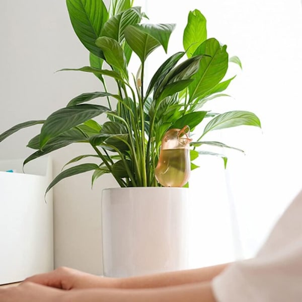5 st Automatiska bevattningspinnar, söta fågelväxter, automatiska bevattningstoppar för inom- och utomhusväxter och blommor i krukor (ökenröd)