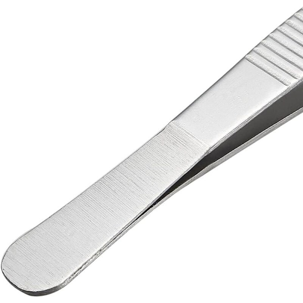 2 par 12 cm rustfrie stålplugger med buet dentalspiss Profesjonell tang for flere bruksområder for industrielt arbeid, laboratorium, hage