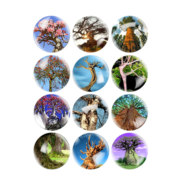 12 Pcs Tree Of Life Fridge Magnets - Office Magnets Set, Dry Erase Board Stickers, Whiteboard Fridge Magnets (tree Of Life)