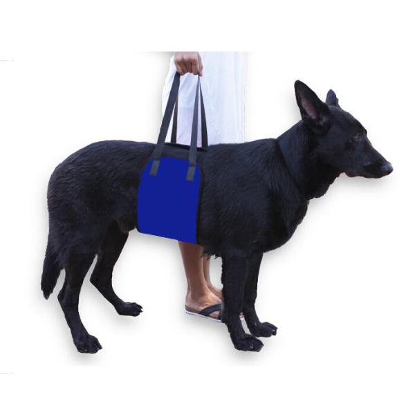 Blå, M-lyftsele för äldre eller handikappade hundar - Ryggtillsats