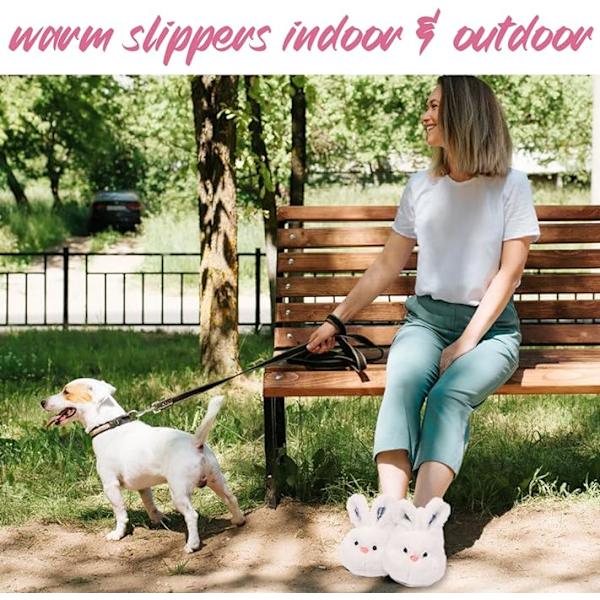 Damsulliga Djurskor Söt Koala Plyschtofflor Kawaii Minnesskum Kartong Vinter Varma Hemskor Jul Flickor Vuxna 5-6.5UK